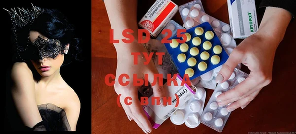 ECSTASY Белокуриха