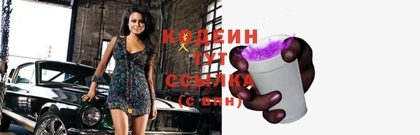 ECSTASY Белокуриха