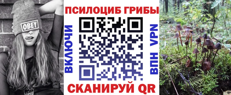 маркетплейс телеграм Воскресенск Псилоцибиновые грибы мухоморы